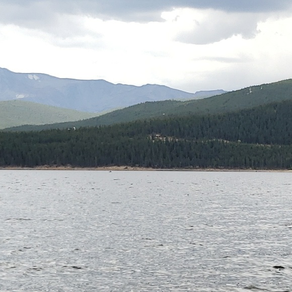 Meet your Posher, Trish - Picture 6 of 8